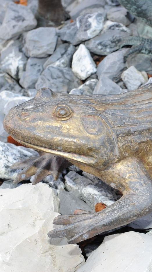 Bronzefigur Frosch