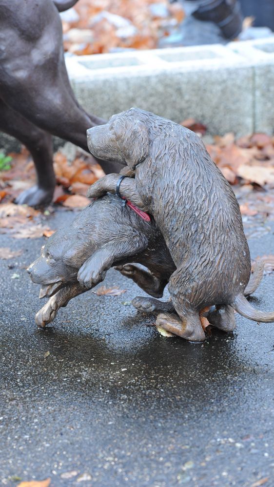 Bronzefiguren von kleinen, spielenenden Hunden