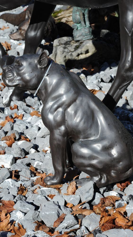 Bronzefigur von kleiner Bulldogge