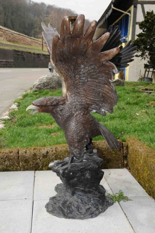 Bronzevogel mit ausgestreckten Flügeln