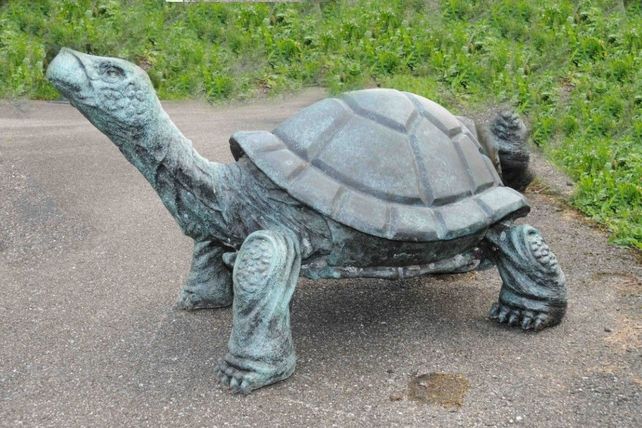 Grosse Bronzefigur von Schildkröte