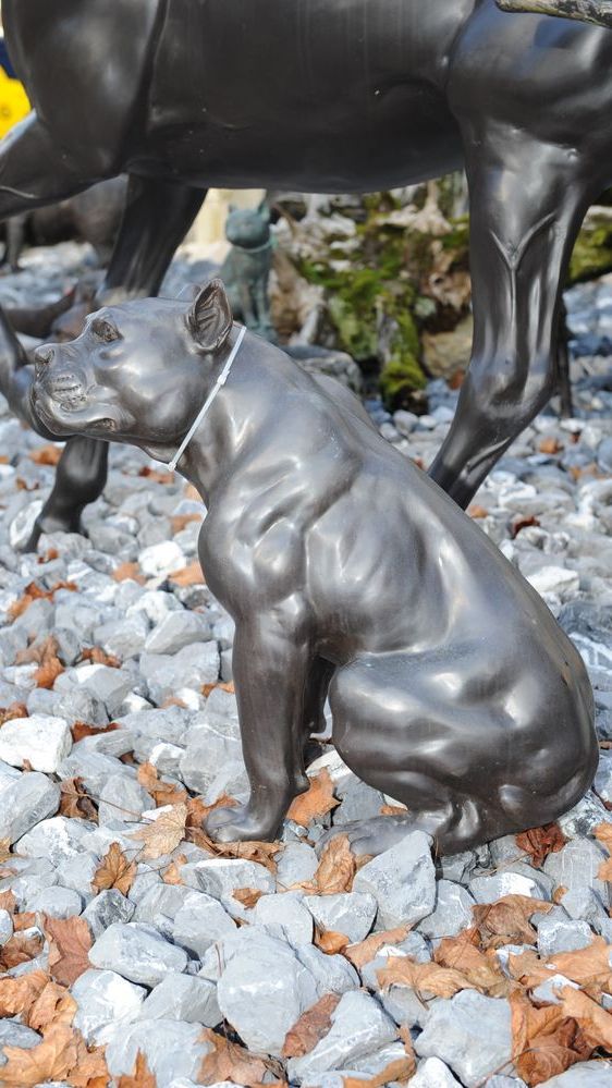 Bronzefigur von Hund der Rasse Pitbull