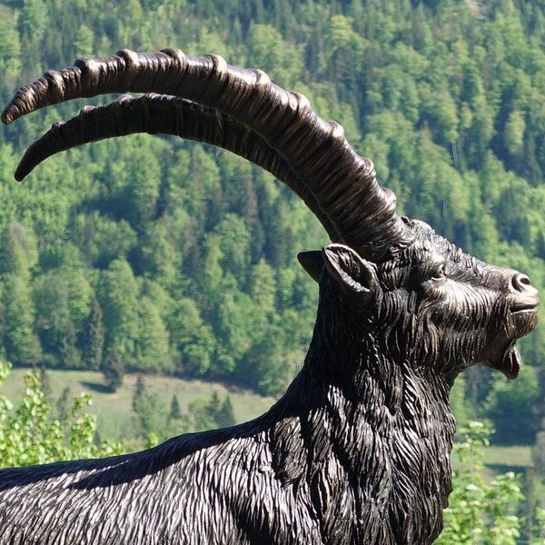 Bronzesteinbock