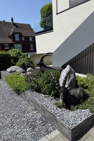 Bronze Steinböcke