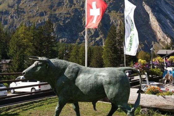 Bronze Stier