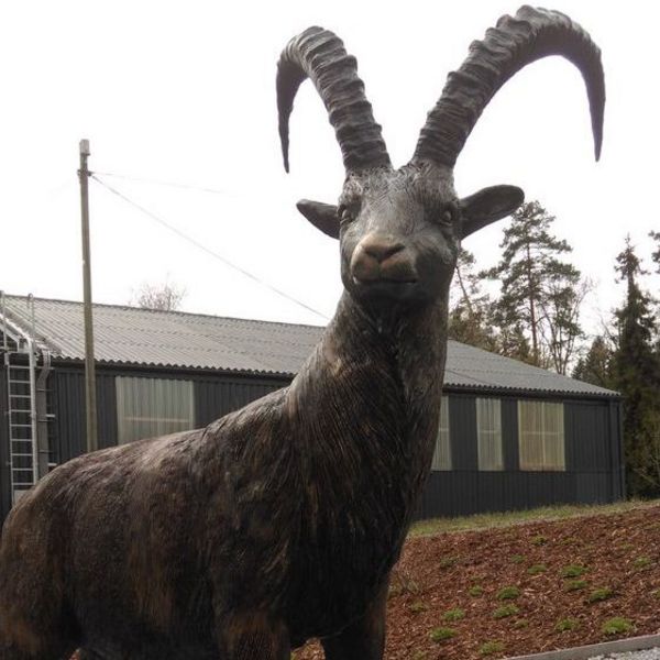 Bronzesteinbock