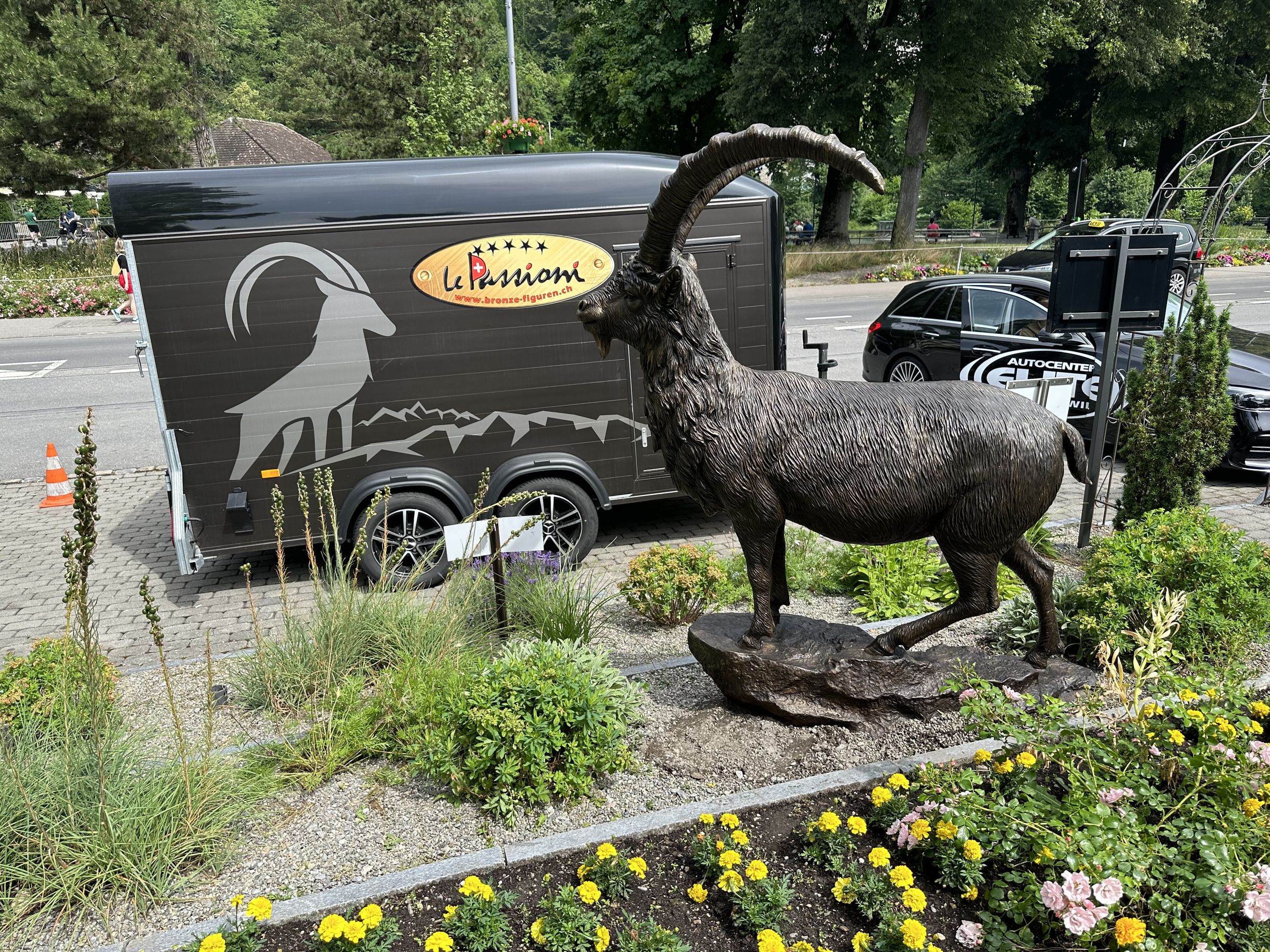 Gian Steinbock Bronze Steinbock