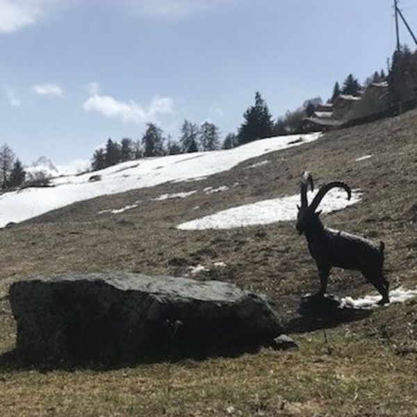 Bronze Steinbock