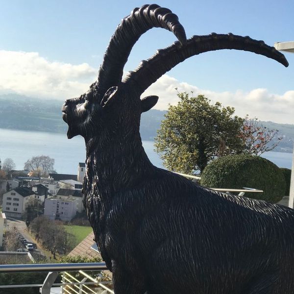 Bronze Steinbock