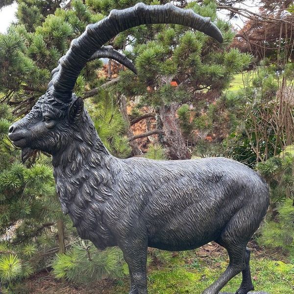 Bronze Steinbock