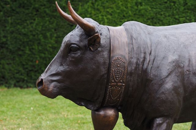 Bronze Kuh