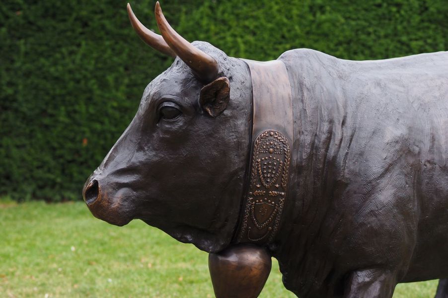 Bronze Kuh