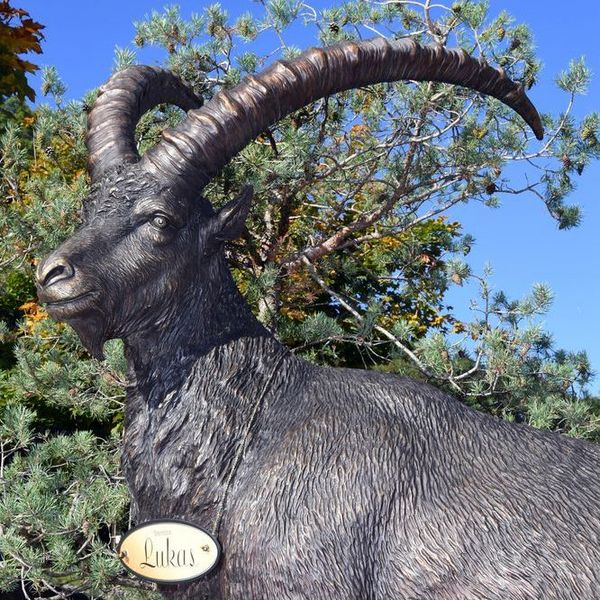 Bronzesteinbock Lukas