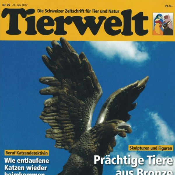 Bronzefiguren Presse und Events