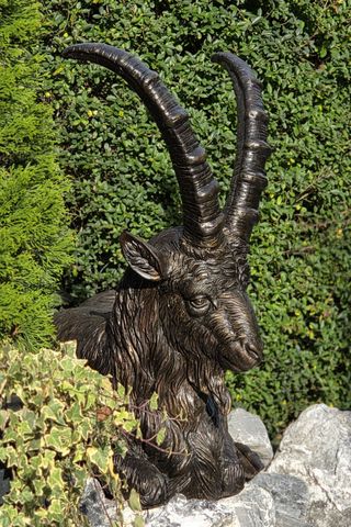 Steinbock in Bronze