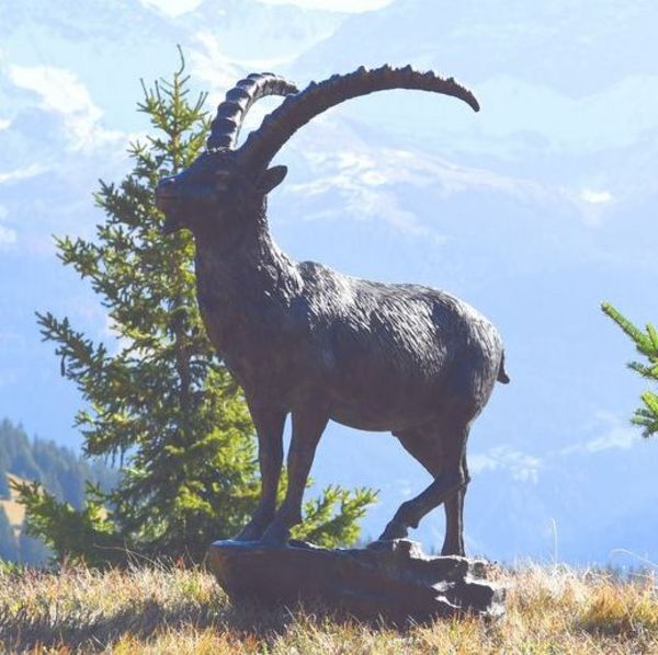 Bronzesteinbock