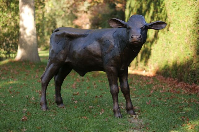 Bronze Kalb