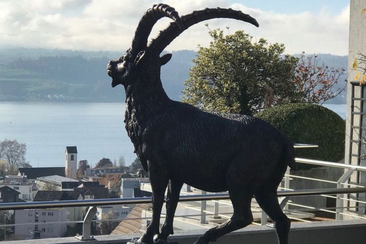 Steinbock Bronzestatue