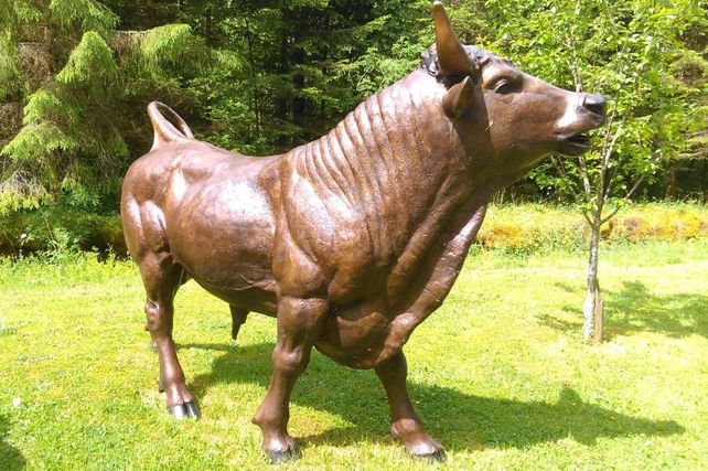 Stier Bronze
