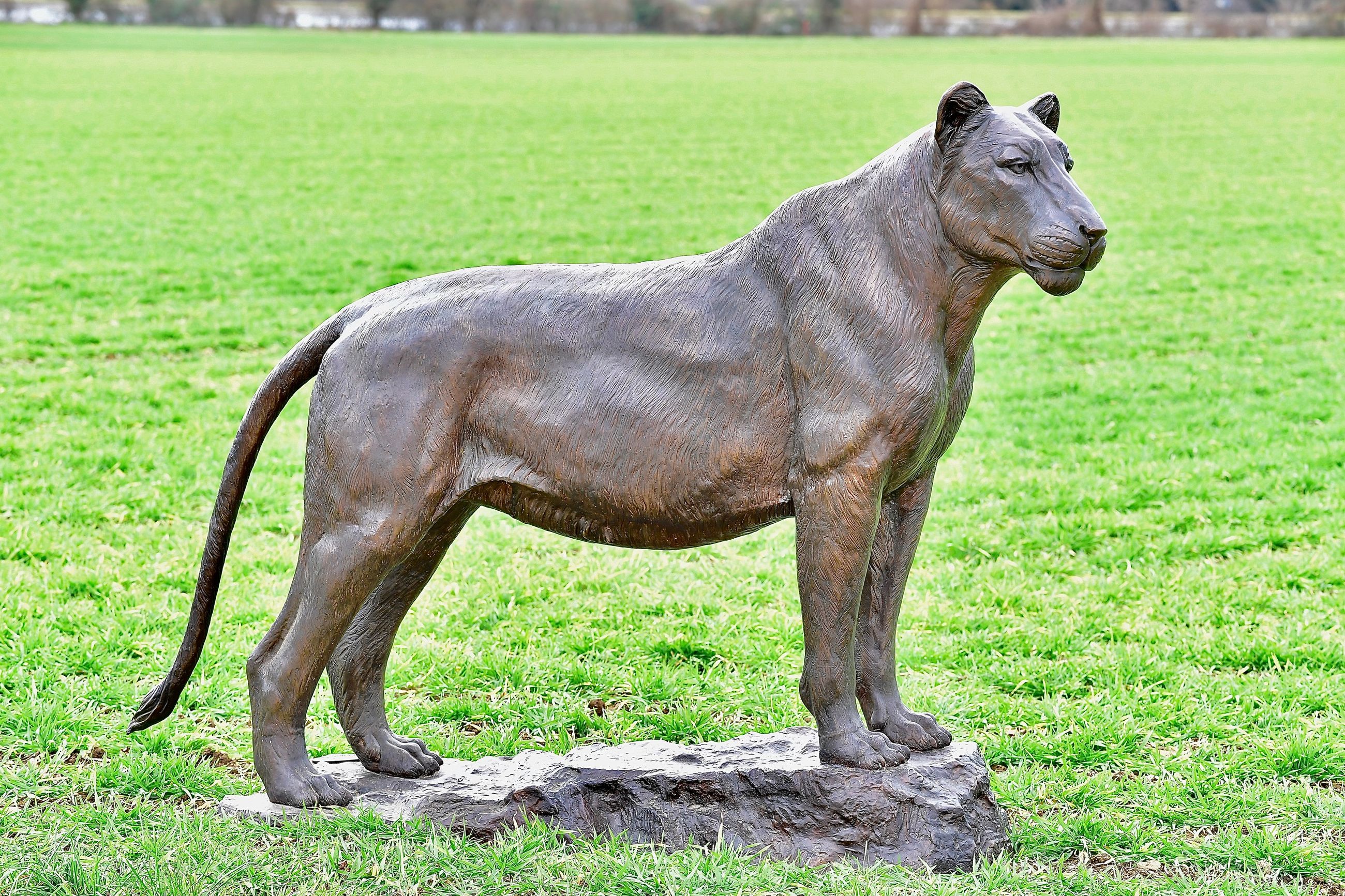 Bronze Löwin