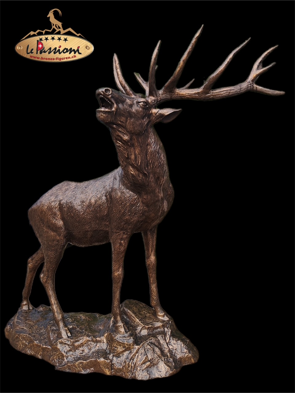 Bronze Hirsch