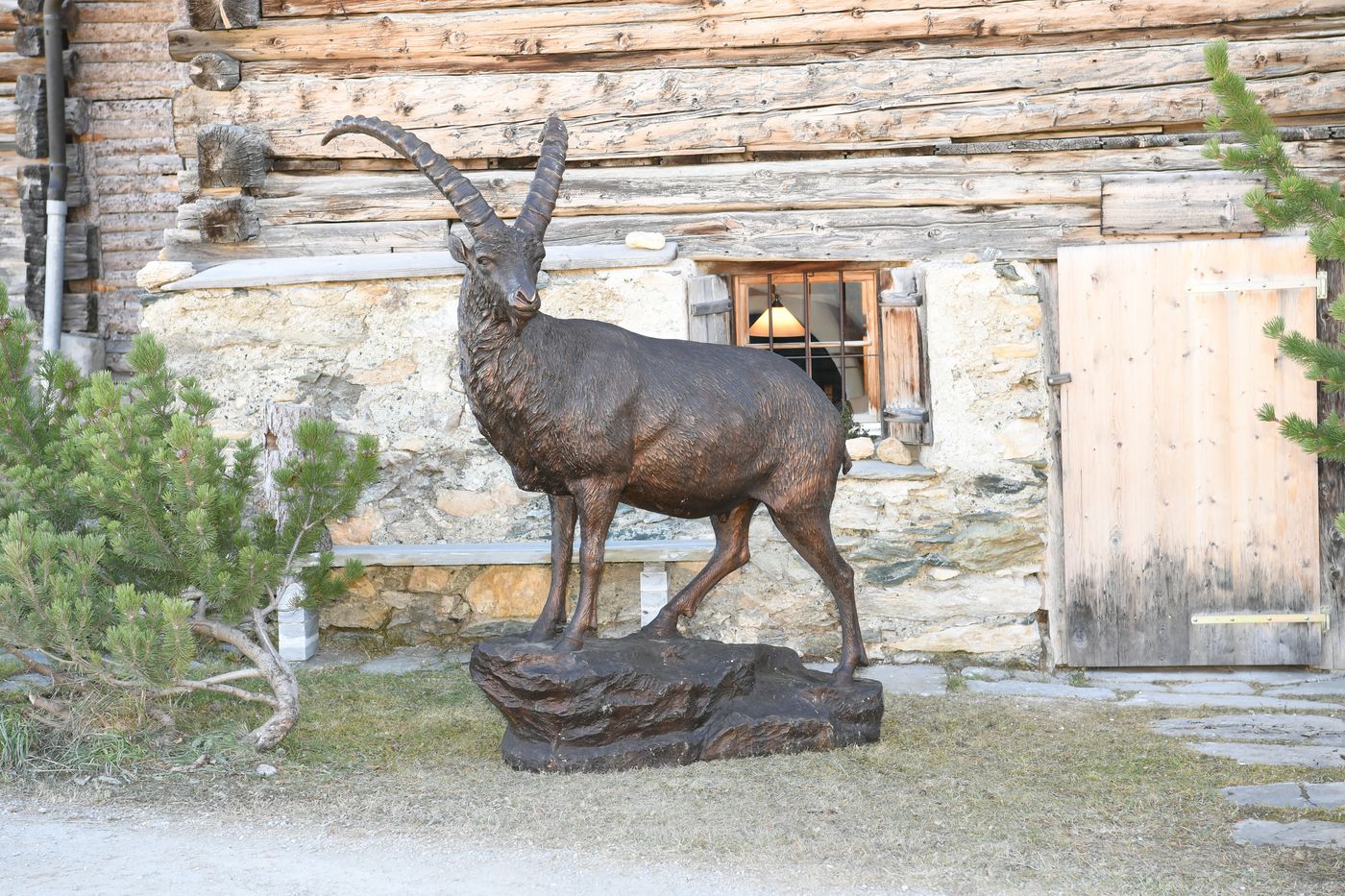 Steinbock Bronze