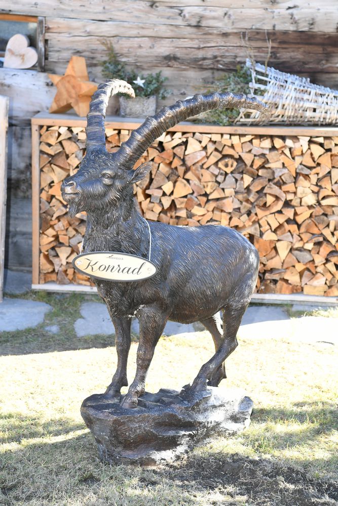 Liesch Gallus
