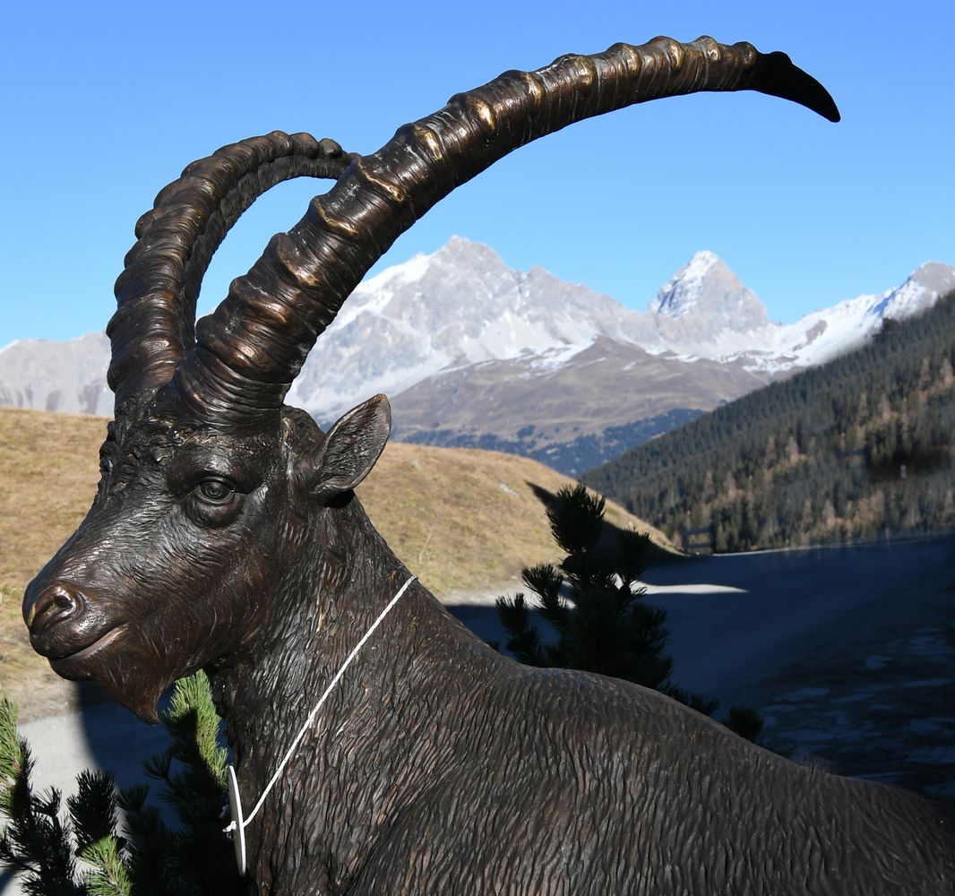 Bronze Steinbock Lukas