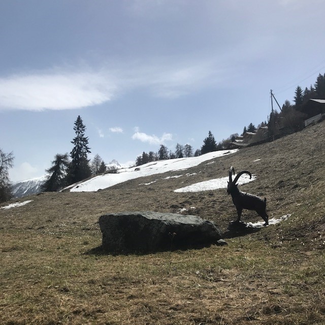 Bronze Steinbock