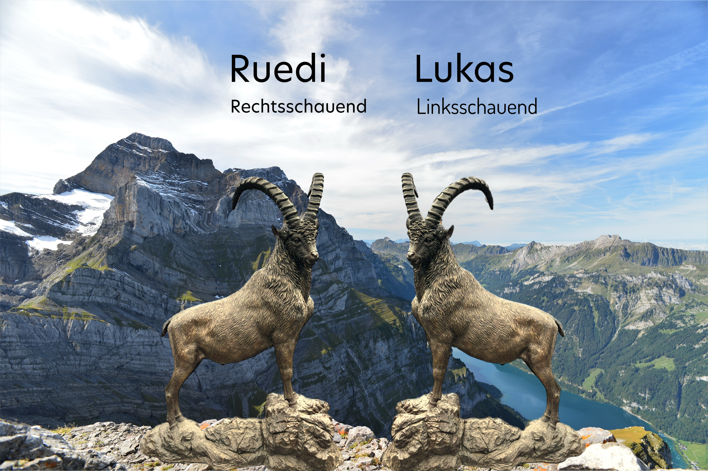 Bronze Steinbock