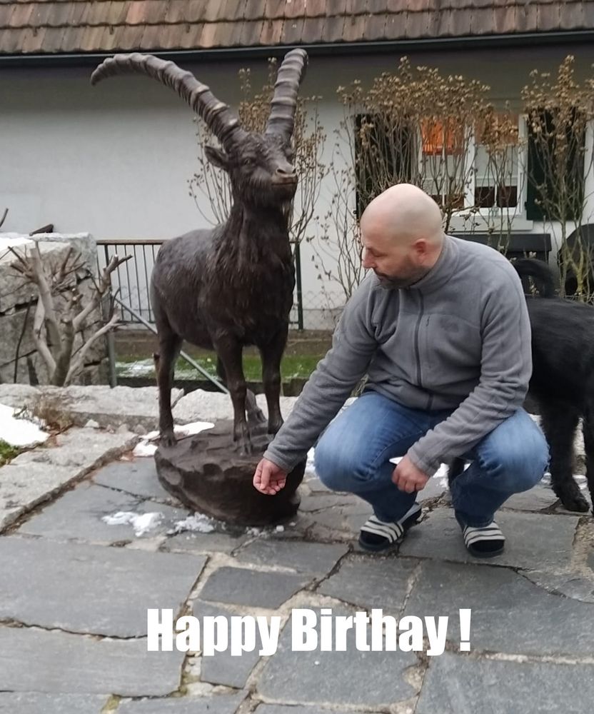 Bronzefigur Steinbock