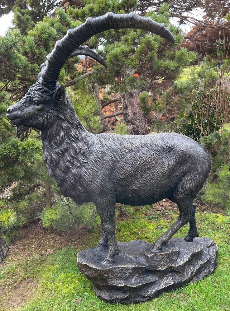 Bronze Steinbock