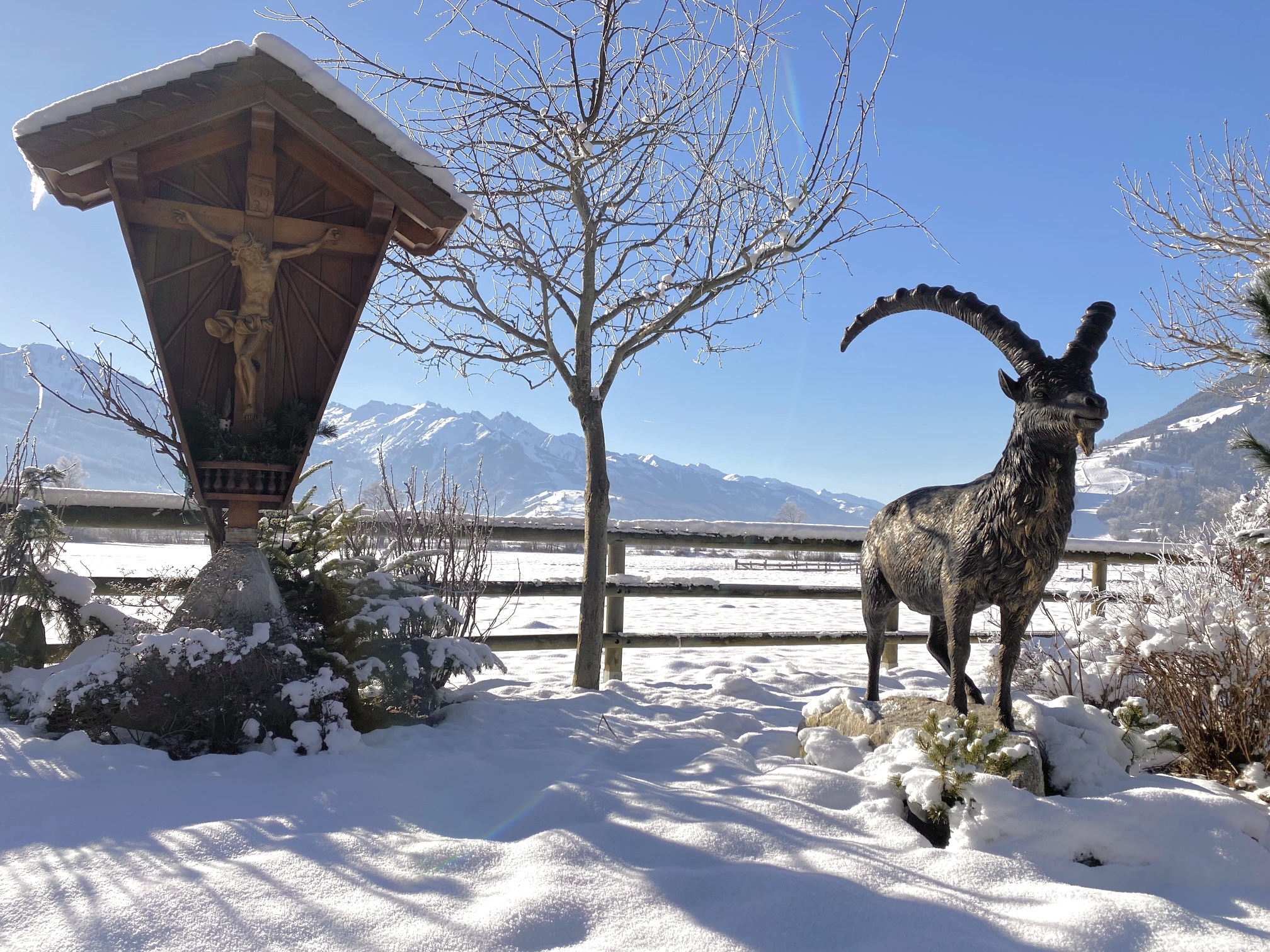 Bronzesteinbock