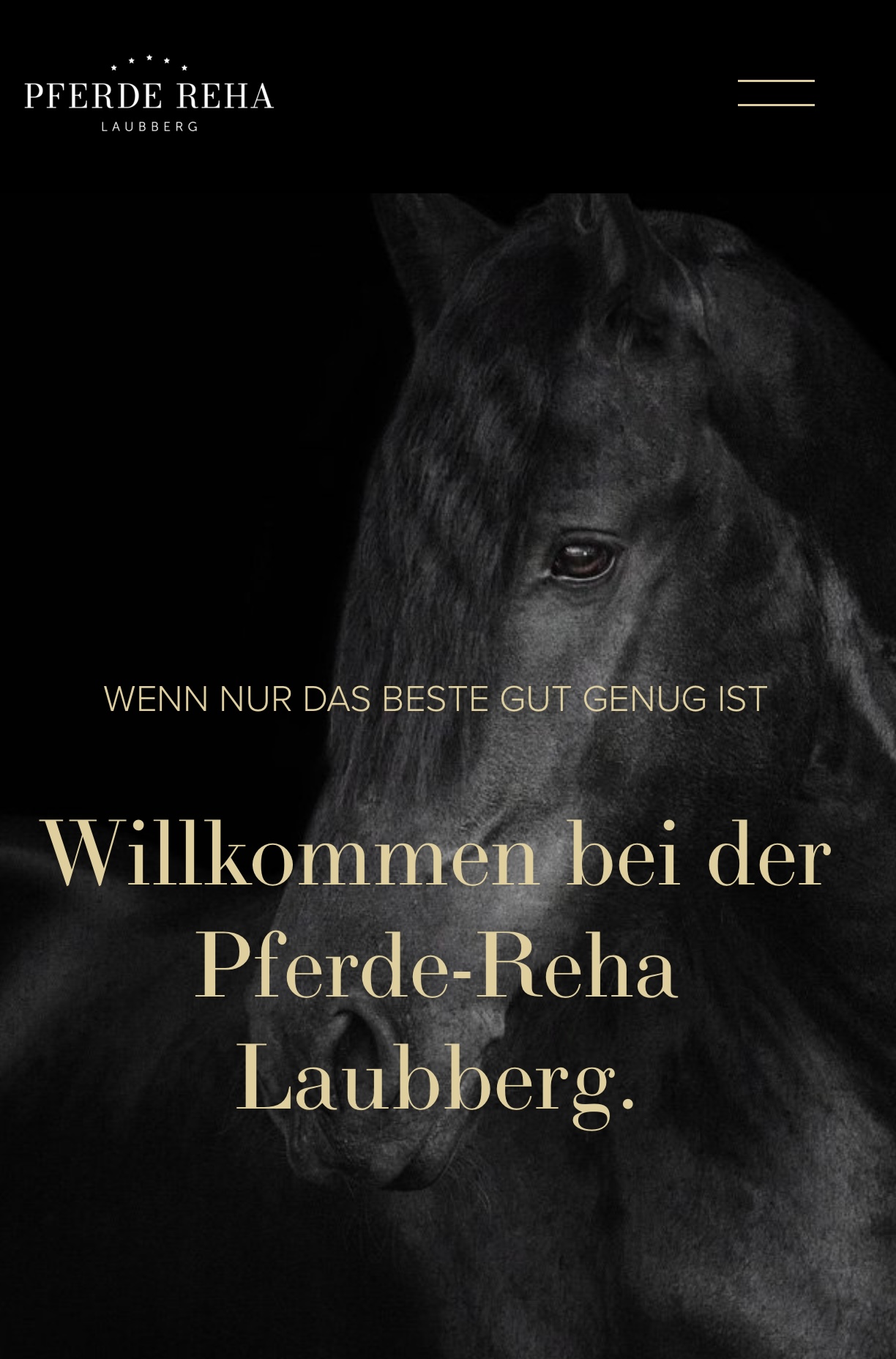 Pferde Reha Gansingen